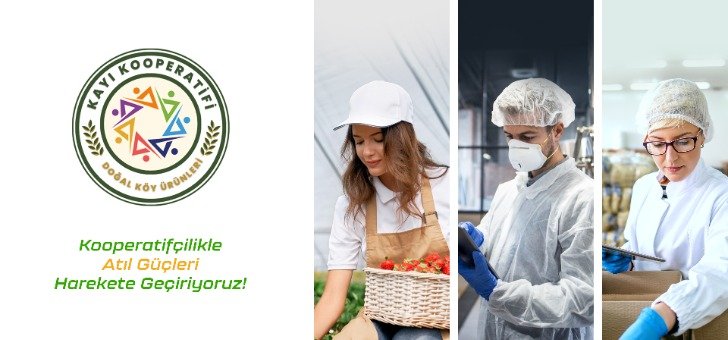 43296820251128052418276